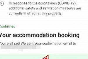 [Easy Guide] Find United Code via Booking.com {Quick Steps} | BoneyBooks | Discover Rare Books, Timeless Classics & Modern Reads Online