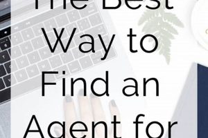 Guide: How to Find an Agent for Your Book Fast [2024] | BoneyBooks | Discover Rare Books, Timeless Classics & Modern Reads Online