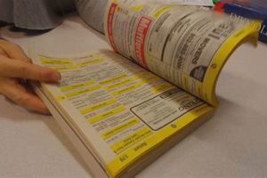 Get It Now: How Can I Get a Phone Book [Guide] | BoneyBooks | Discover Rare Books, Timeless Classics & Modern Reads Online