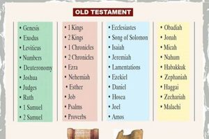 Old Testament Books: What Are They & Why Important? Safem Fabrication - Precision Engineering & Custom Manufacturing Solutions Old Testament Books: What Are They & Why Important? | Safem Fabrication - Precision Engineering & Custom Manufacturing Solutions