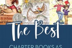 Decoding What are Chapter Books? A Reader's Guide | BoneyBooks | Discover Rare Books, Timeless Classics & Modern Reads Online