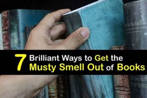 Get Rid of That Musty Smell: Book Odor Removal Tips Safem Fabrication - Precision Engineering & Custom Manufacturing Solutions Get Rid of That Musty Smell: Book Odor Removal Tips | Safem Fabrication - Precision Engineering & Custom Manufacturing Solutions