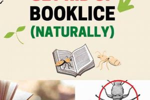 Easy How to Get Rid of Book Lice + Prevention Tips Safem Fabrication - Precision Engineering & Custom Manufacturing Solutions Easy How to Get Rid of Book Lice + Prevention Tips | Safem Fabrication - Precision Engineering & Custom Manufacturing Solutions