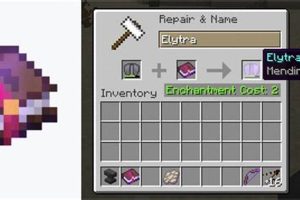 Easy Ways: How to Get Enchanted Books + Uses! BoneyBooks | Discover Rare Books, Timeless Classics & Modern Reads Online Easy Ways: How to Get Enchanted Books + Uses! | BoneyBooks | Discover Rare Books, Timeless Classics & Modern Reads Online