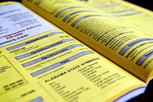 Why They Still Make Phone Books [The Truth] | BoneyBooks | Discover Rare Books, Timeless Classics & Modern Reads Online