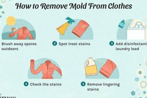 Easy How to Get Mold Off Books: A Step-by-Step Guide Safem Fabrication - Precision Engineering & Custom Manufacturing Solutions Easy How to Get Mold Off Books: A Step-by-Step Guide | Safem Fabrication - Precision Engineering & Custom Manufacturing Solutions